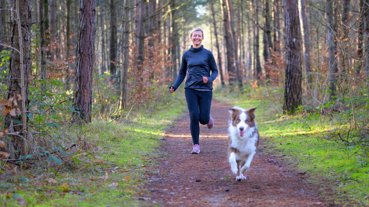 hond en baasje rennend door het bos