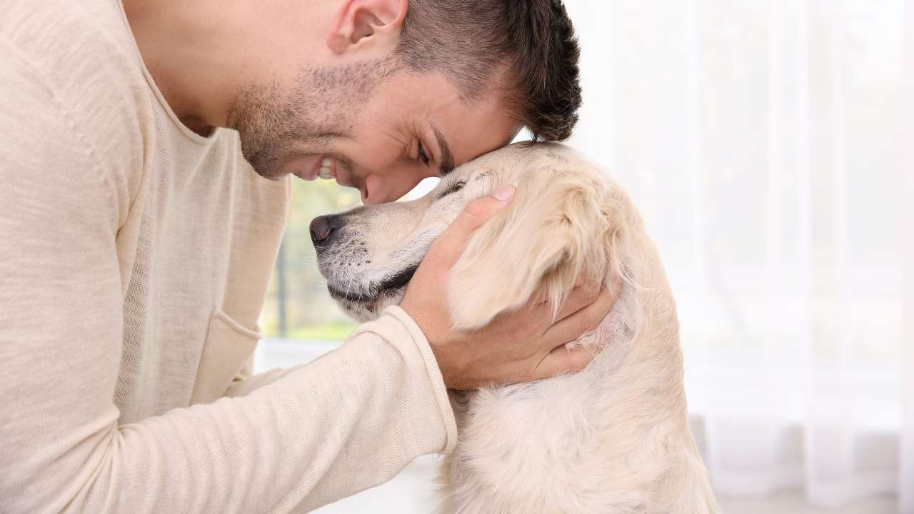 voordelen hondenbezit knuffelend met baasje